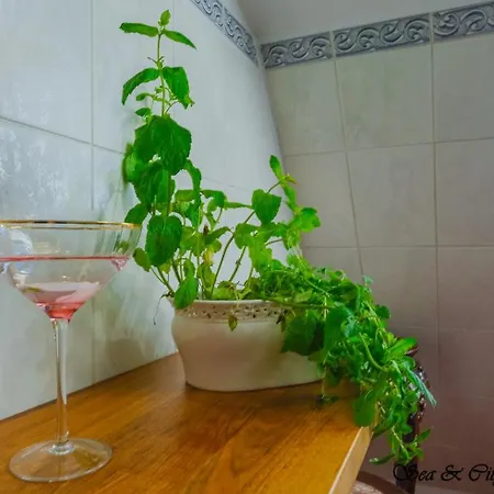 Sea & 50 M Monte Casinno 100 M Lux Lägenhet Sopot